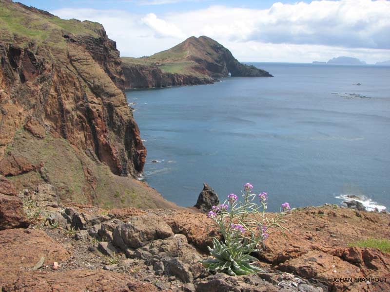 ponta de são lourenço