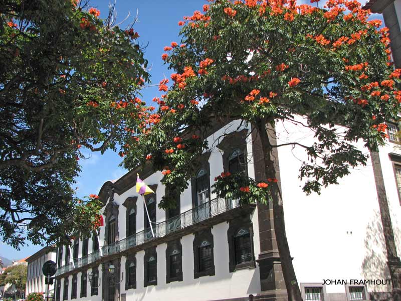 Funchal, het stadhuis