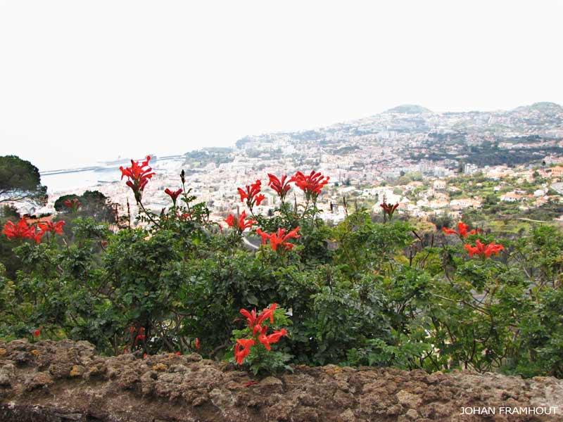 Funchal, botanische tuin
