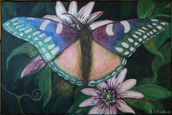 Art7D, Butterfly, acrylic painting by Johan Framhout