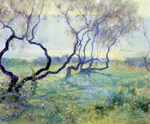 Guy Rose (US 1867-1925), Tamarisk Trees in Early Sunlight