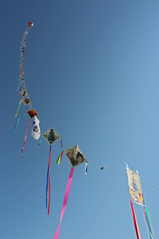 Kites in Wolseong Park