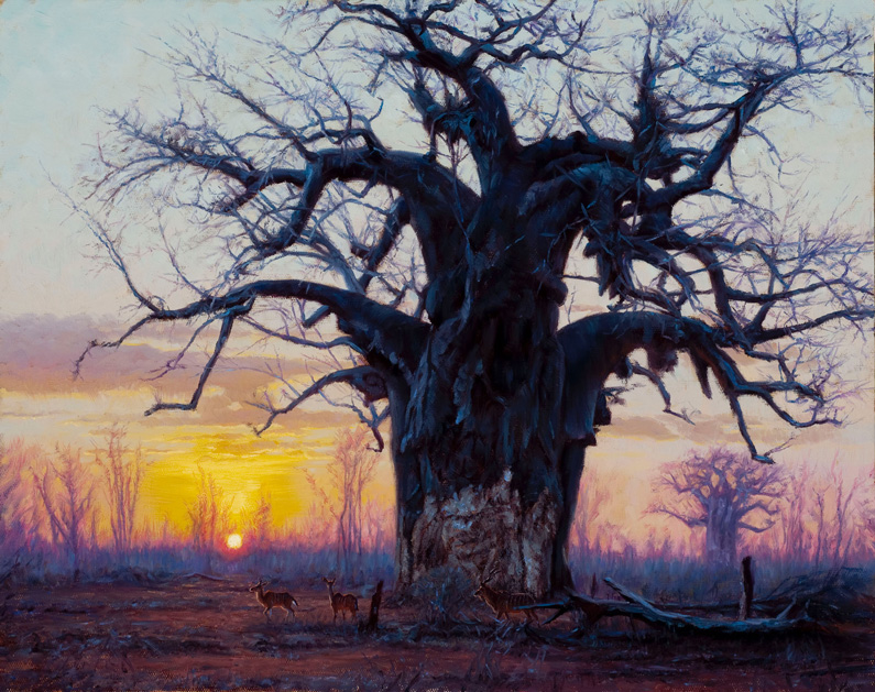 John Banovich, Baobab at Sunset