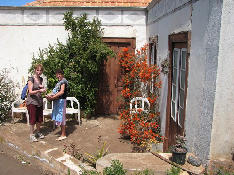 La Palma, amandelen kopen