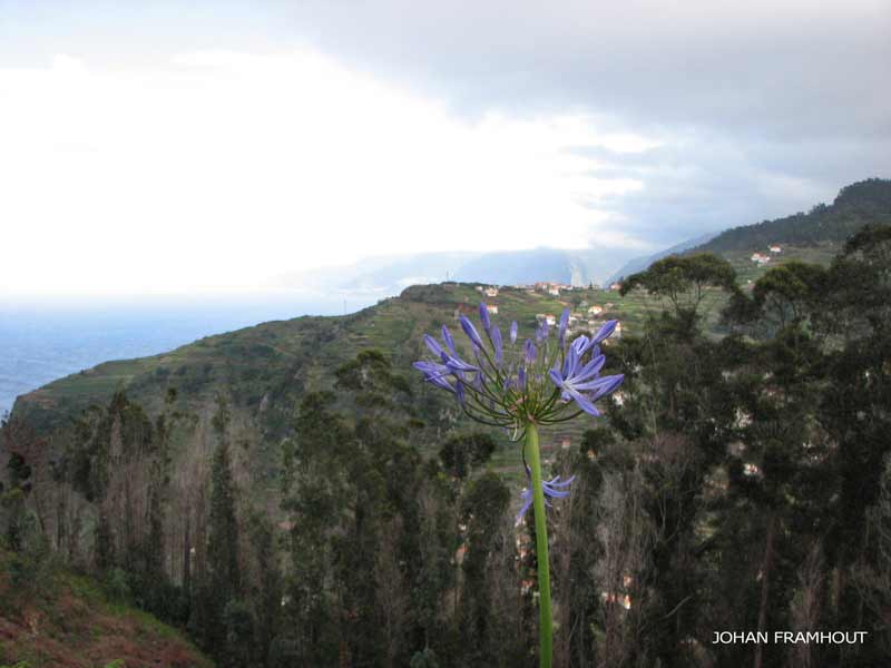 levada Ribeira Janela