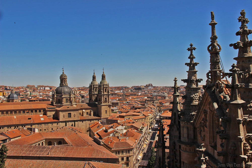 View from Salamanca Cathedral