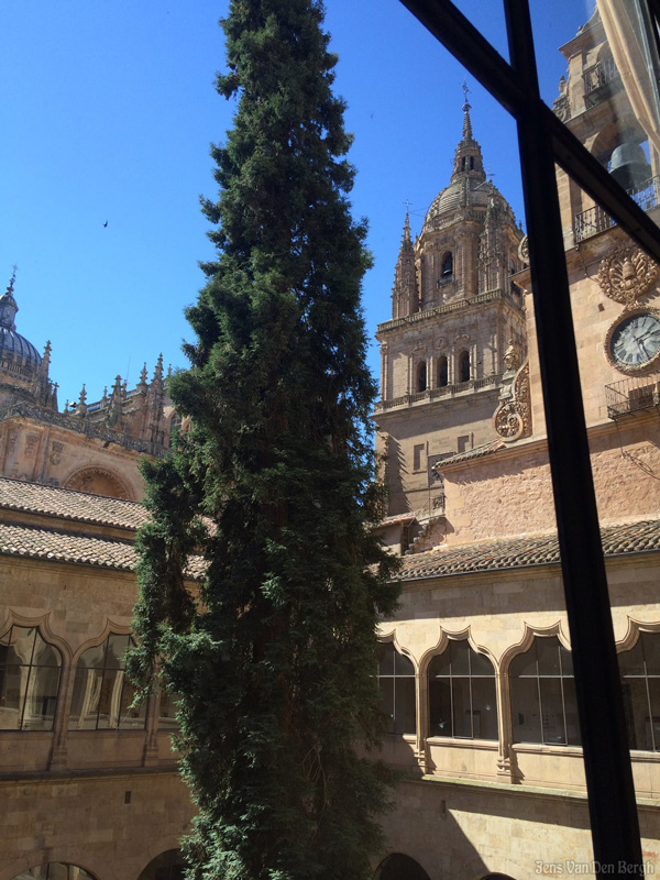 Salamanca University & Cathedral Tower