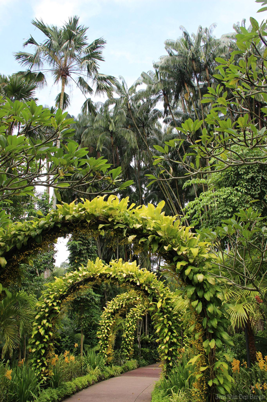 Rainforest, Singapore